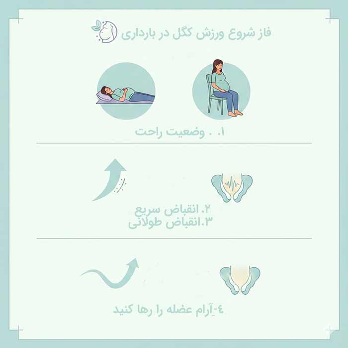 فاز شروع ورزش کگل در بارداری